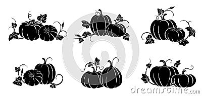 Pumpkin. Set of silhouettes of different pumpkins. Vector illustration Vector Illustration